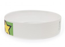 Tyvek Wristband with Color Printing