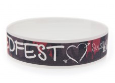 Tyvek Wristband with Color Printing